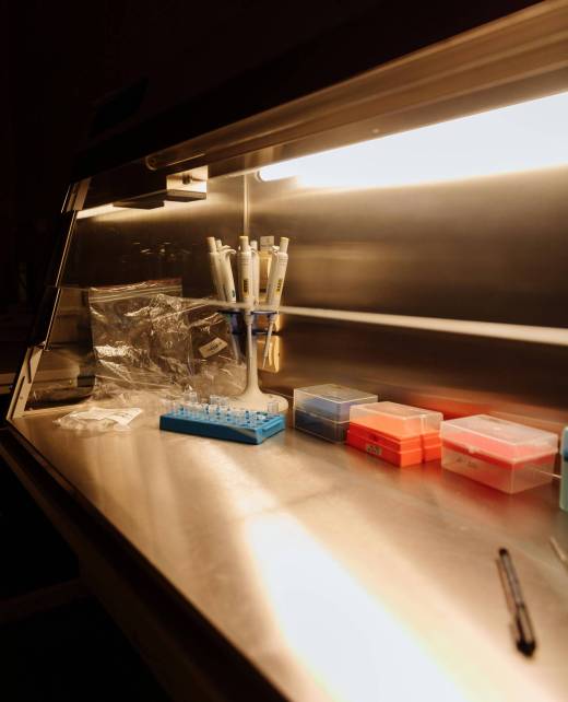 pexels-thirdman-8940518